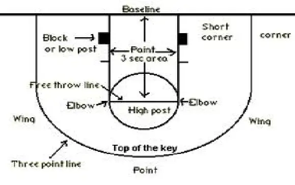 What Are The Parts Of Basketball Court